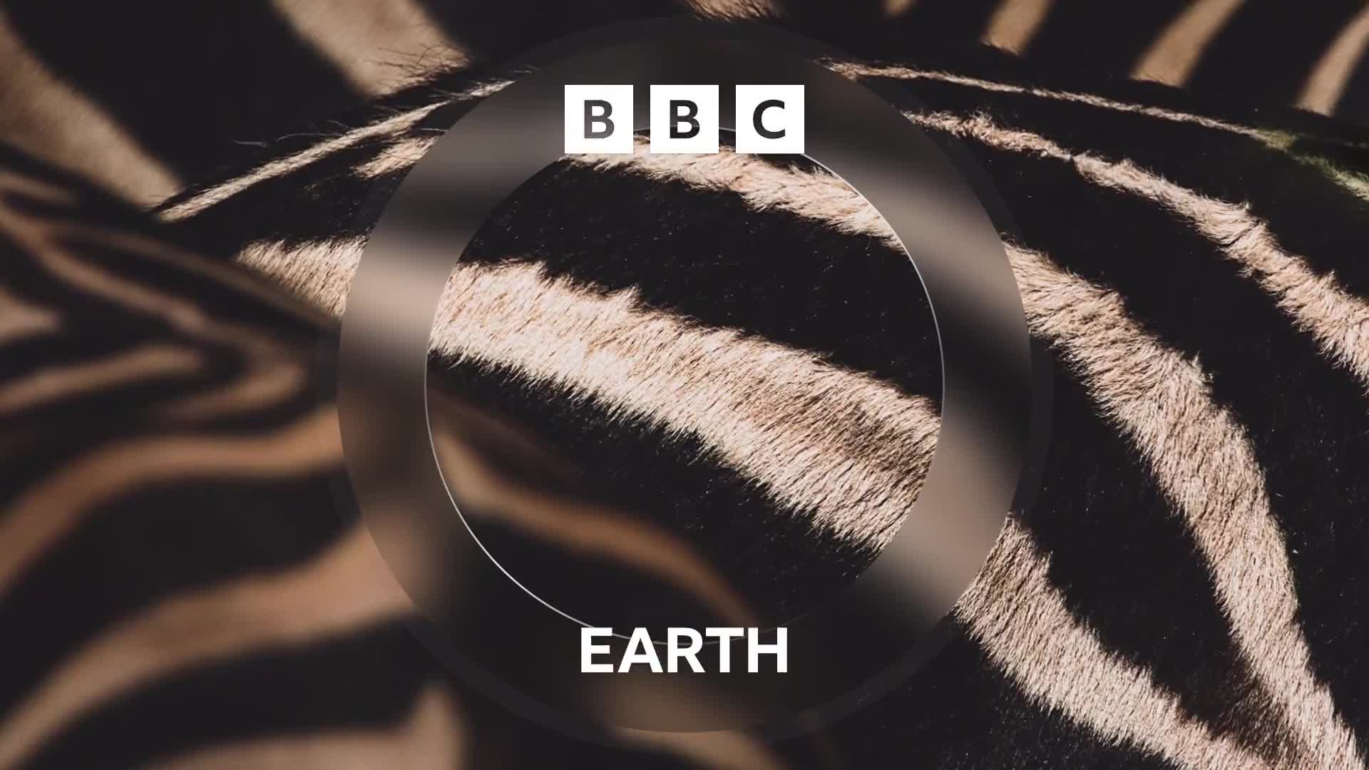 BBCEarth