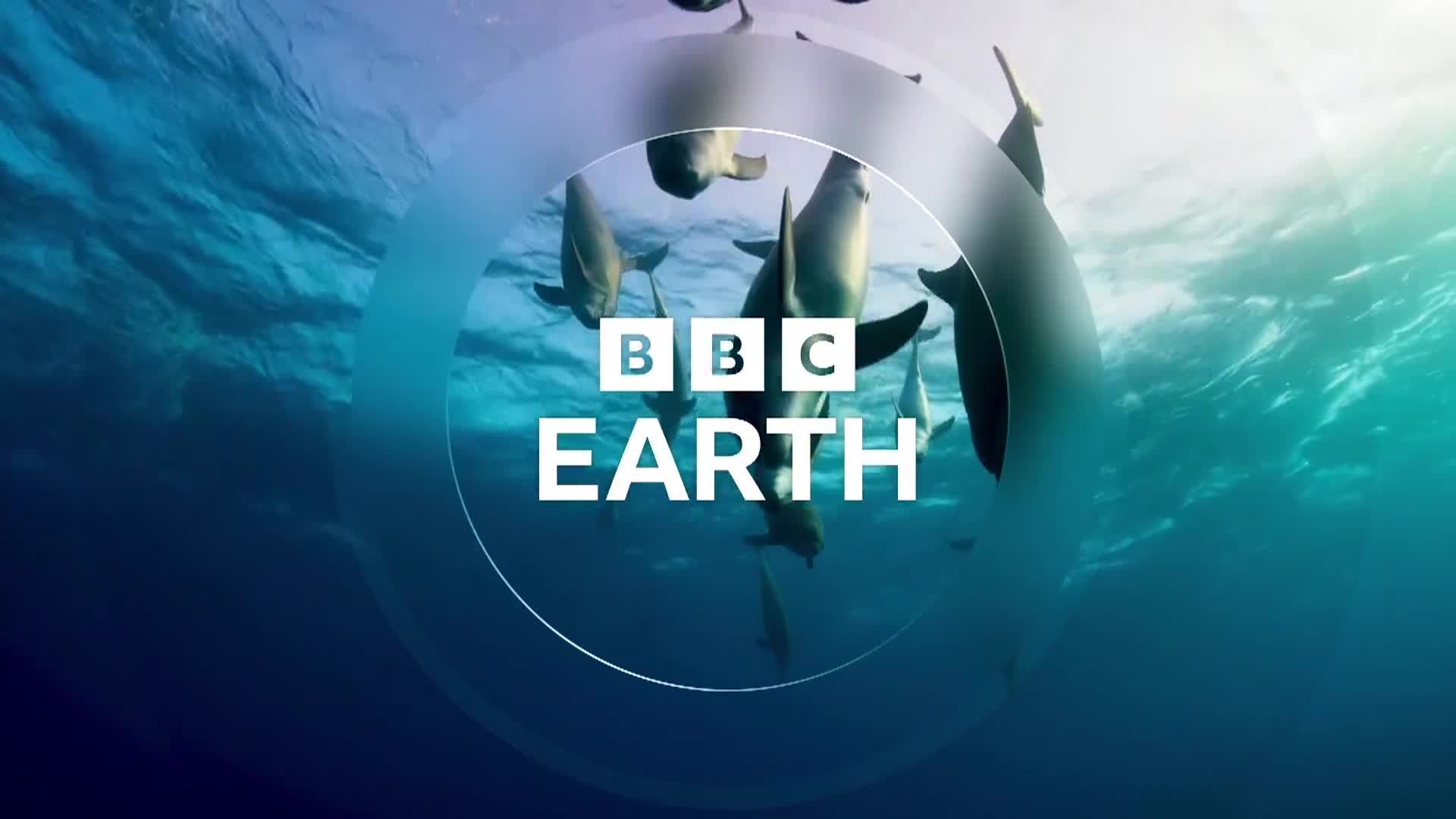 BBCEarth