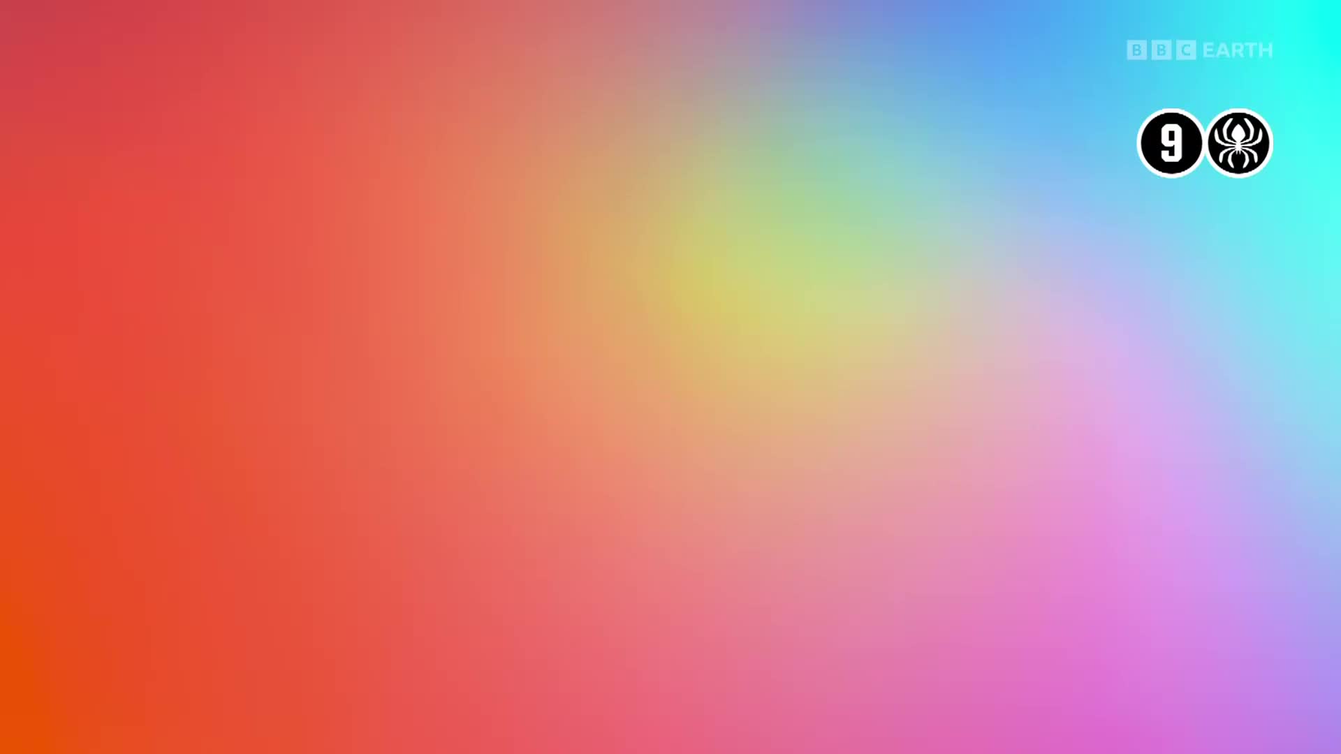 BBCEarth