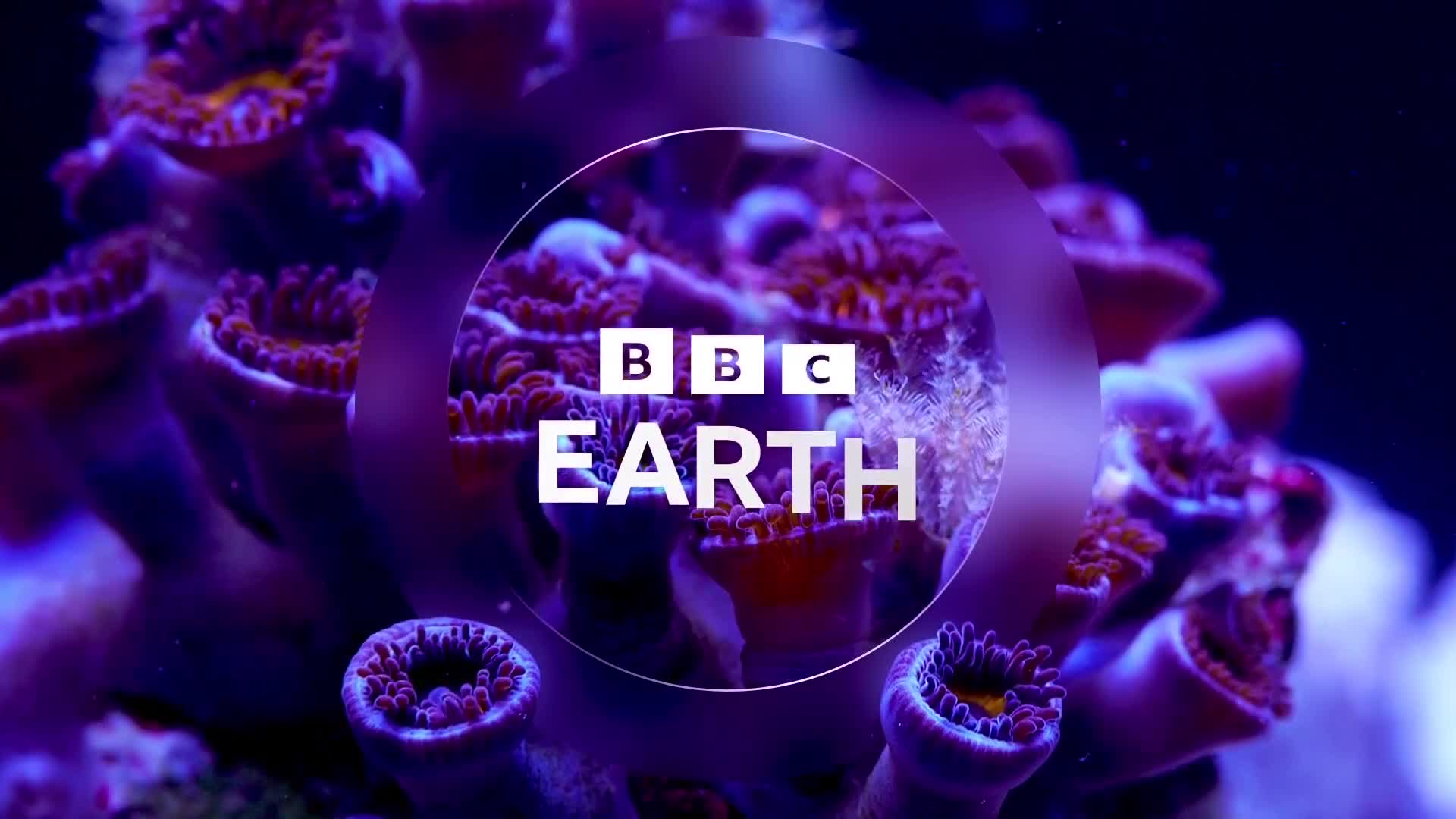 BBCEarth