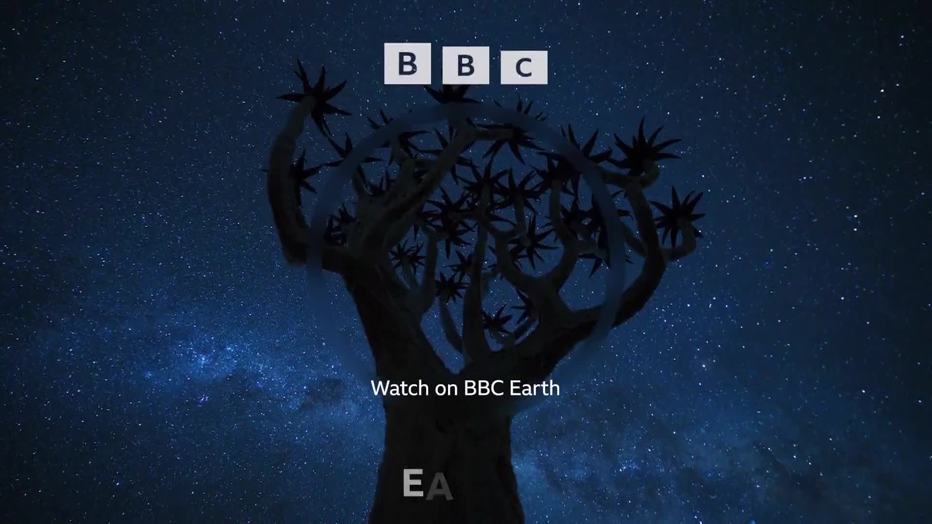 BBCEarth