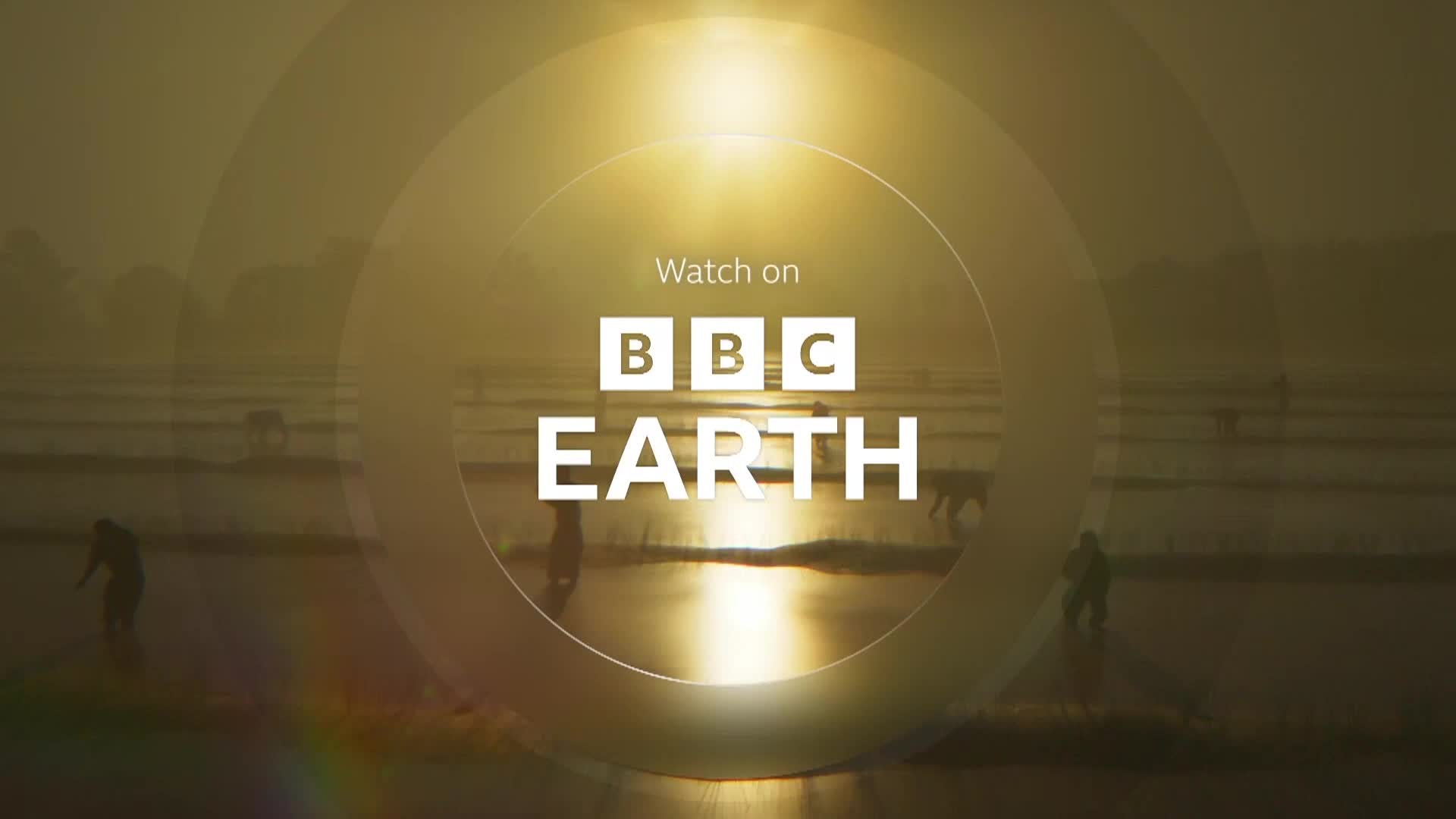 BBCEarth