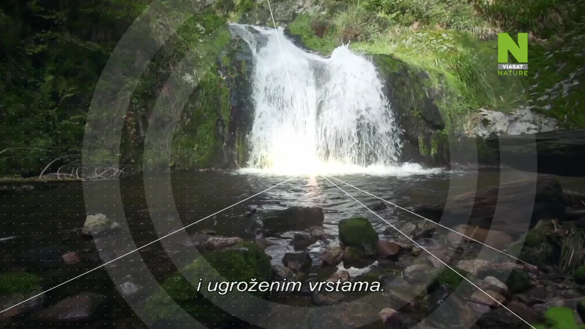 ViasatNature