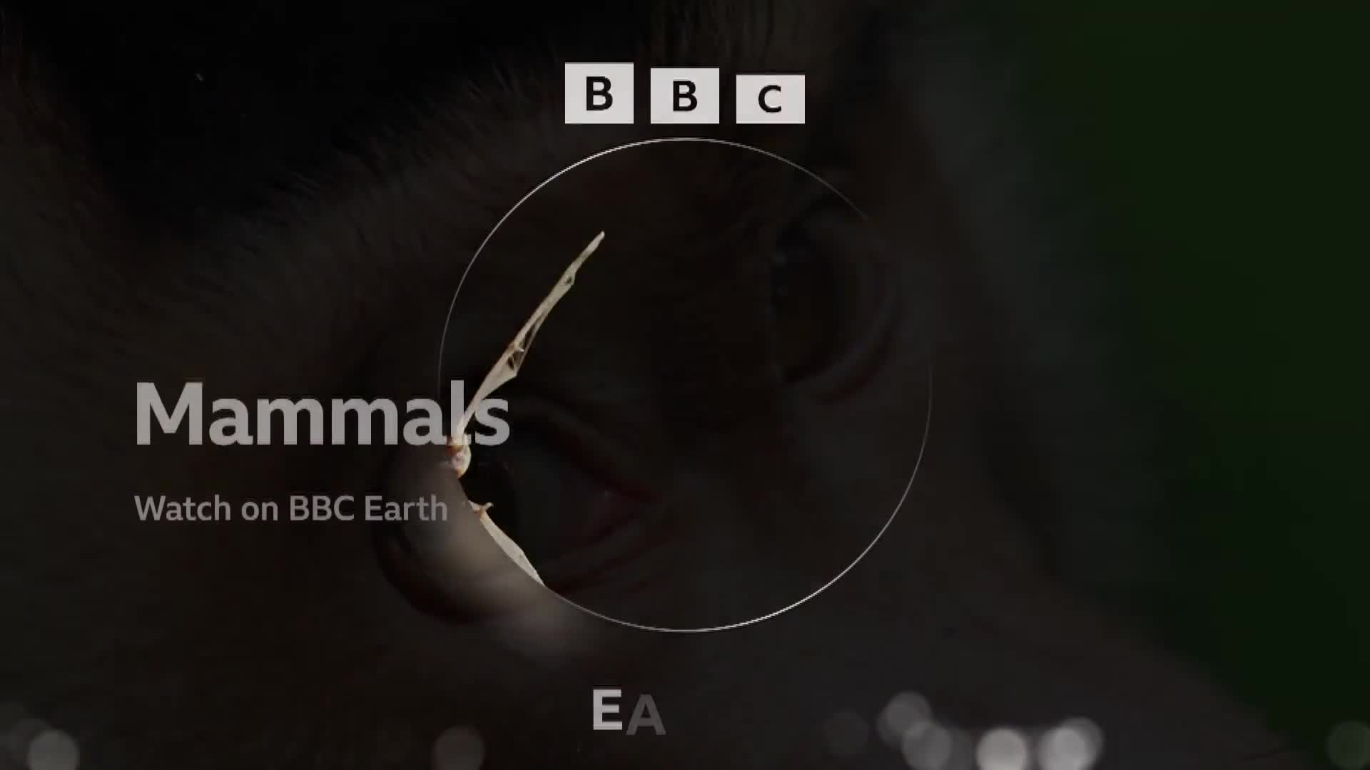BBCEarth