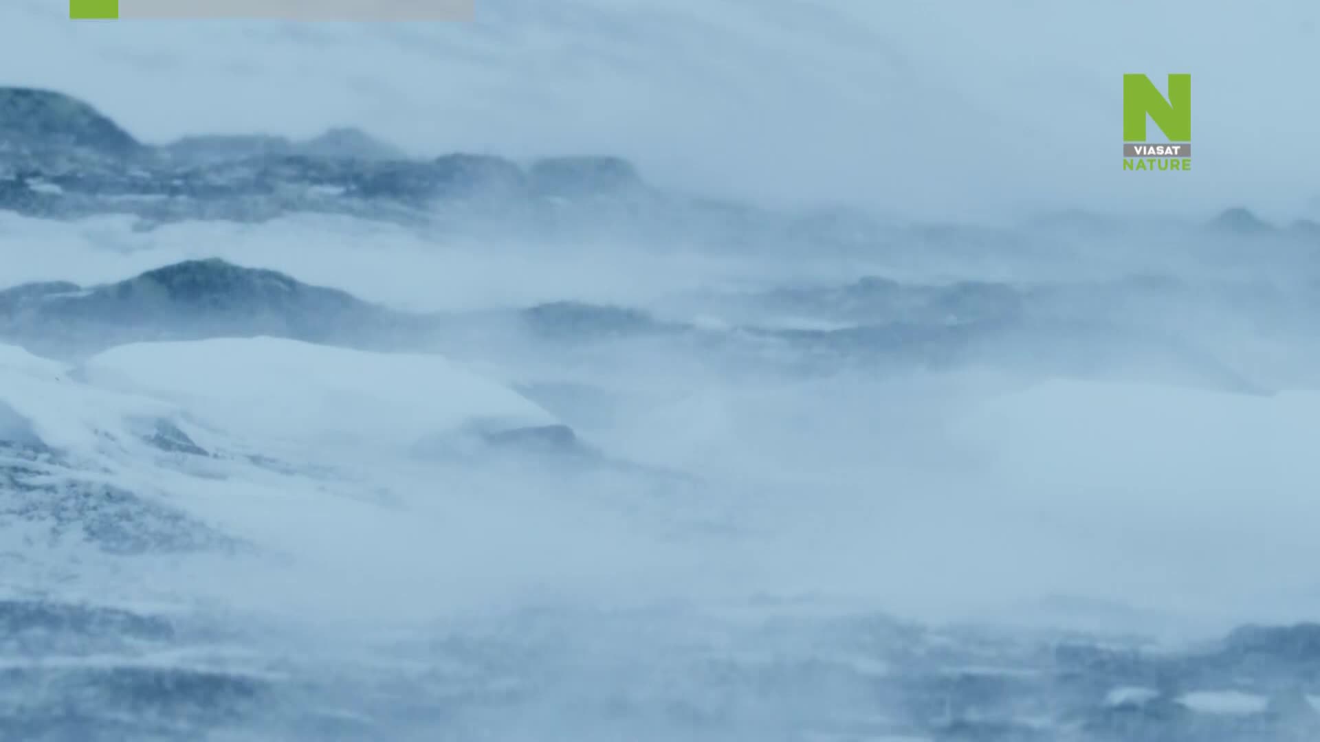 ViasatNature