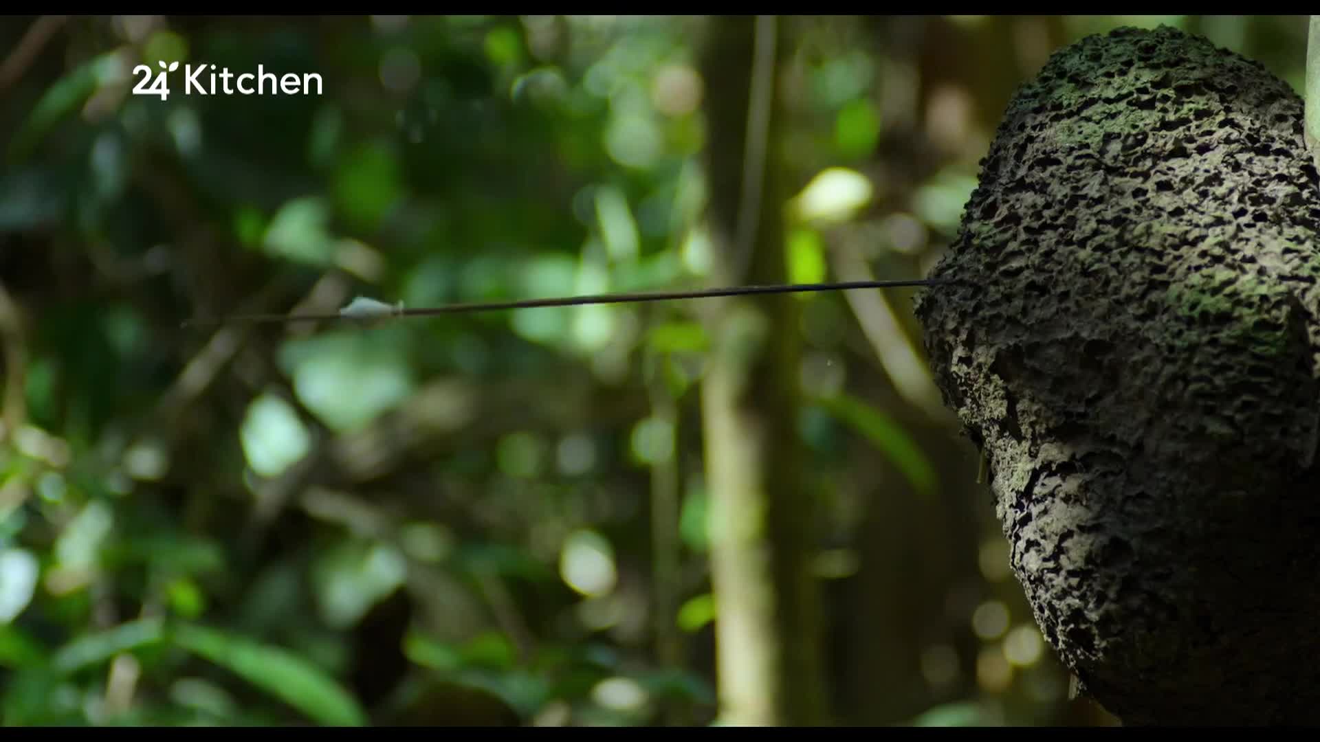 24Kitchen