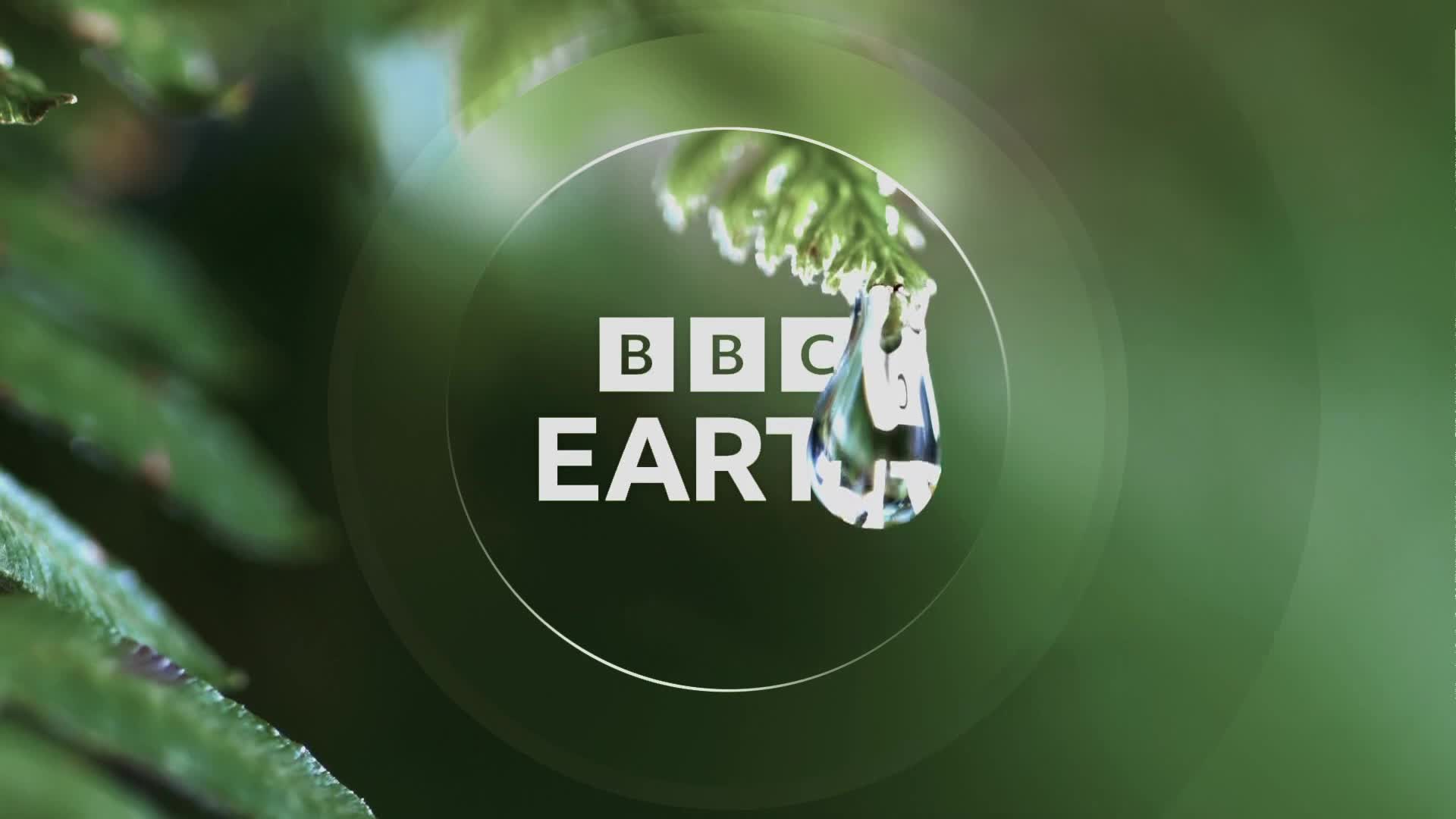 BBCEarth
