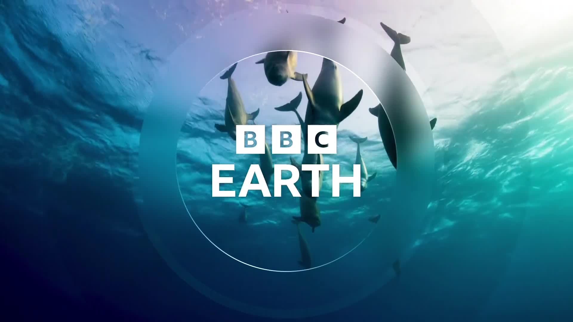 BBCEarth