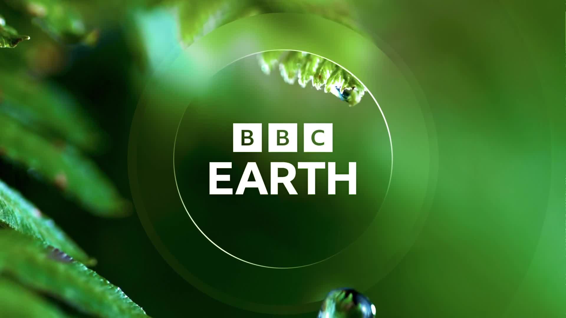 BBCEarth