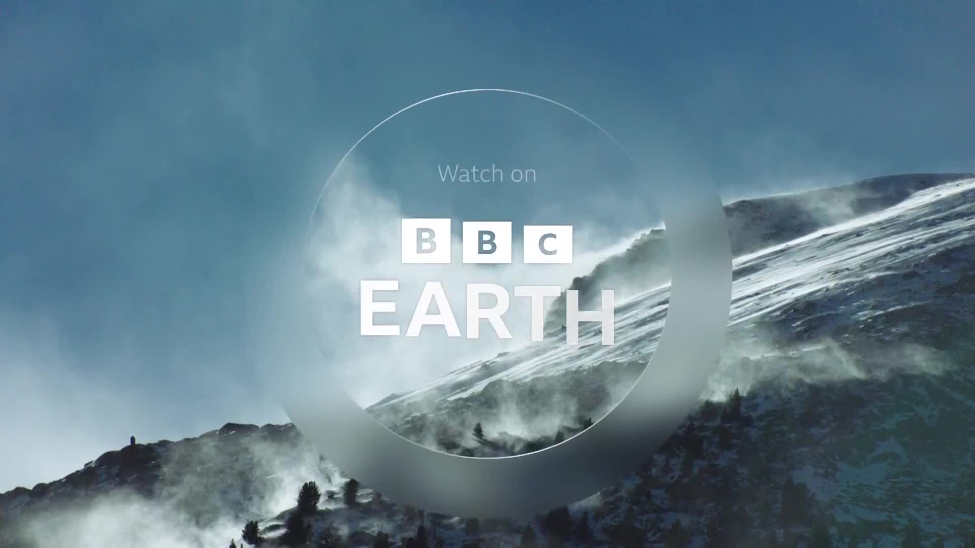 BBCEarth