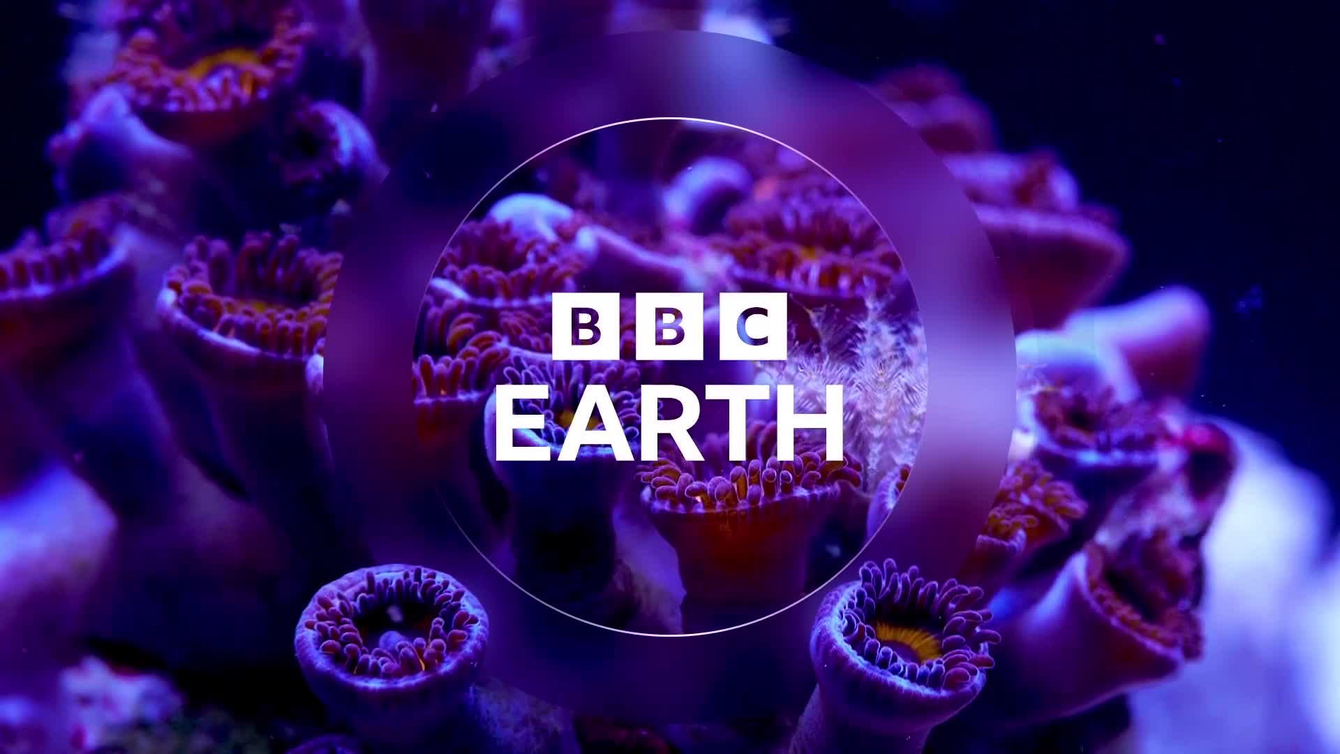 BBCEarth