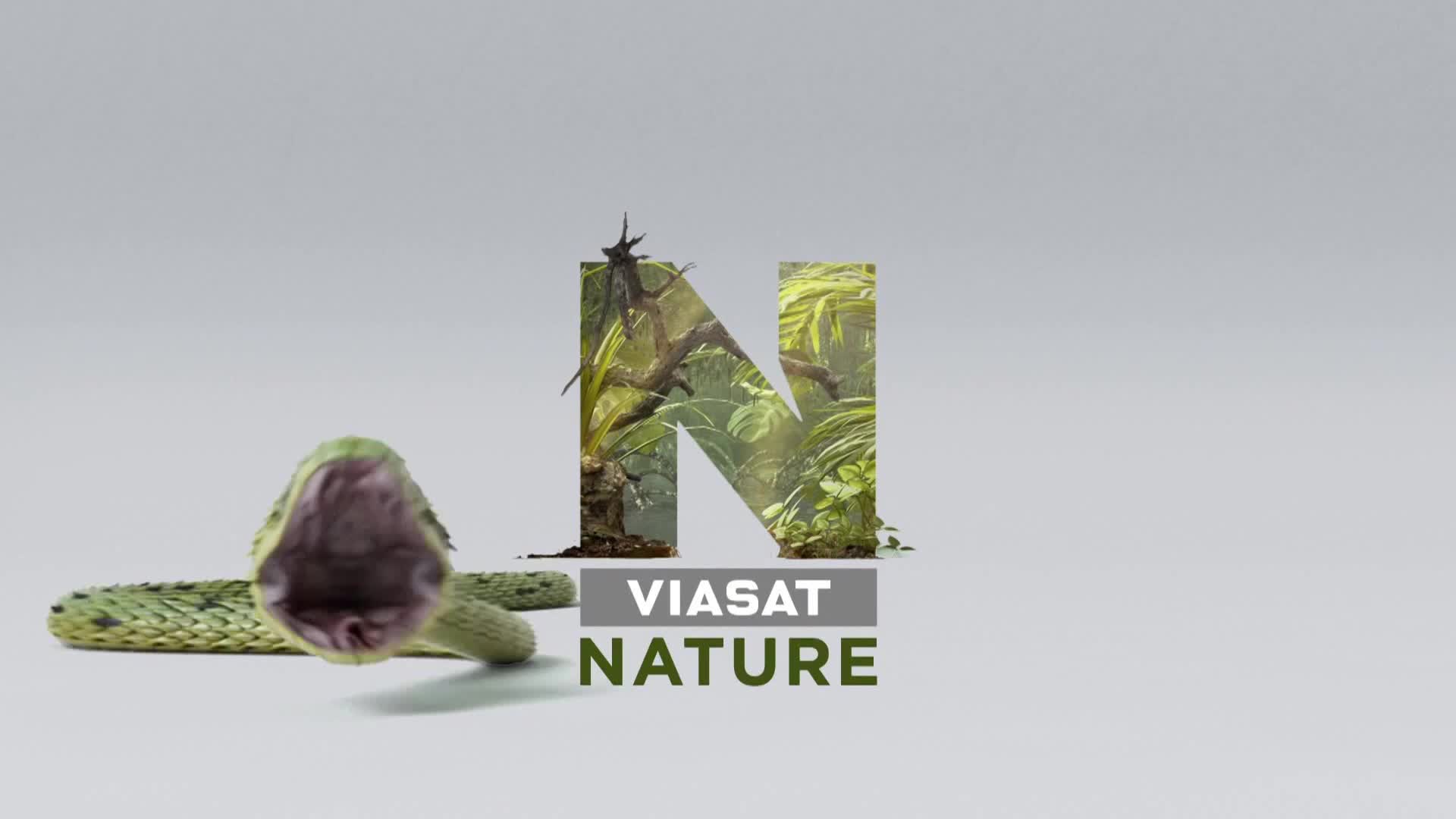 ViasatNature