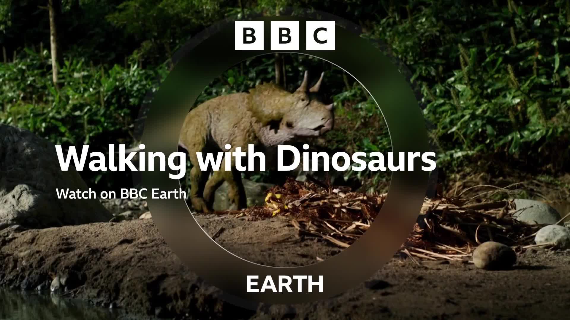 BBCEarth