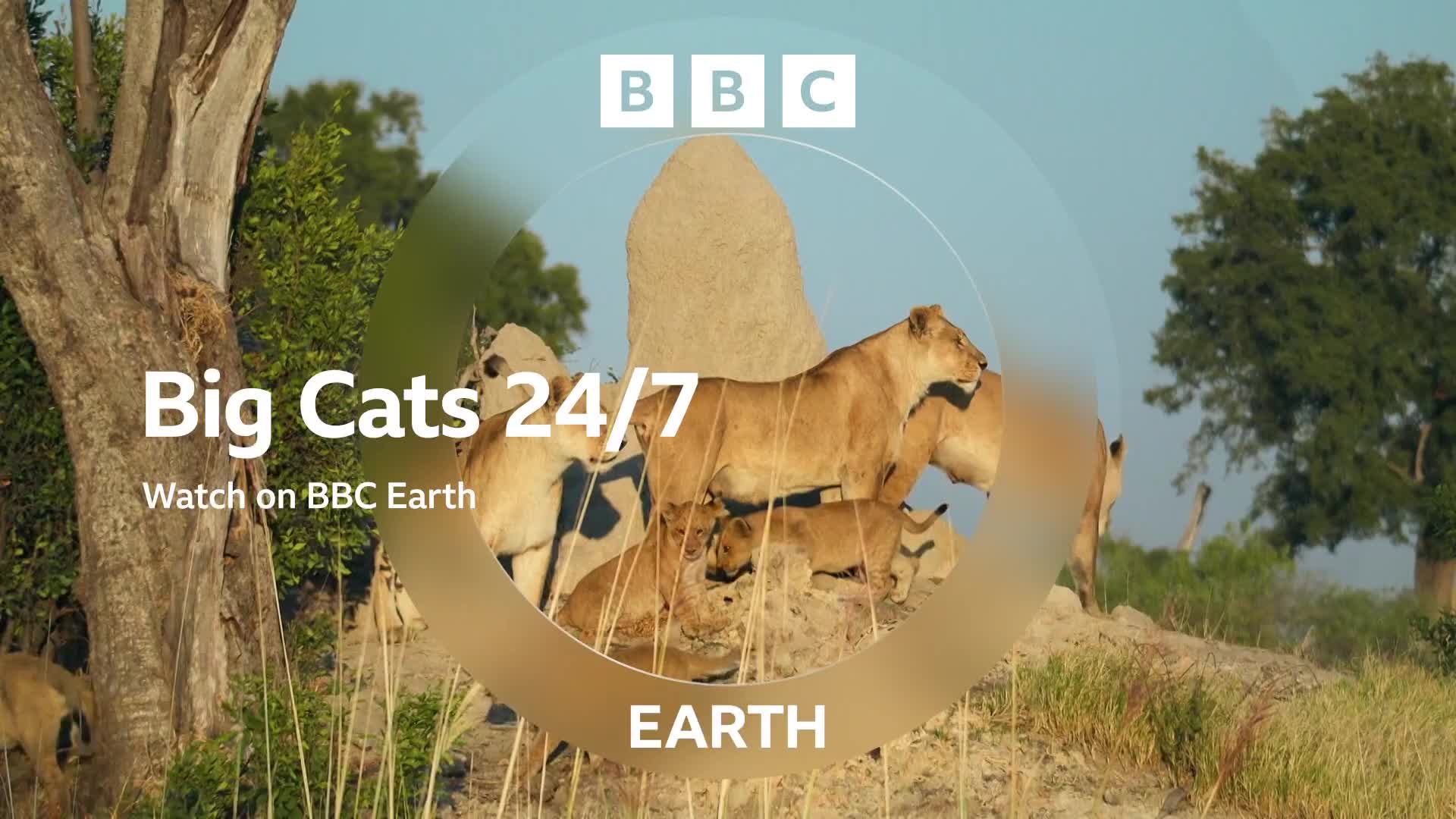 BBCEarth