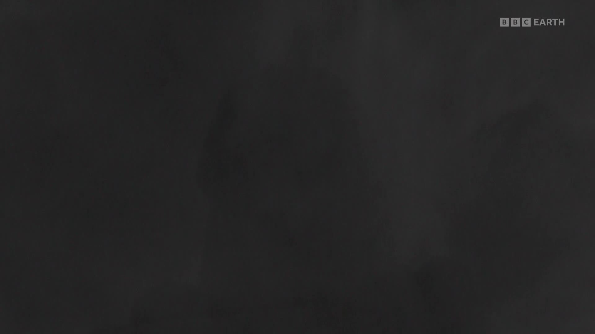 BBCEarth