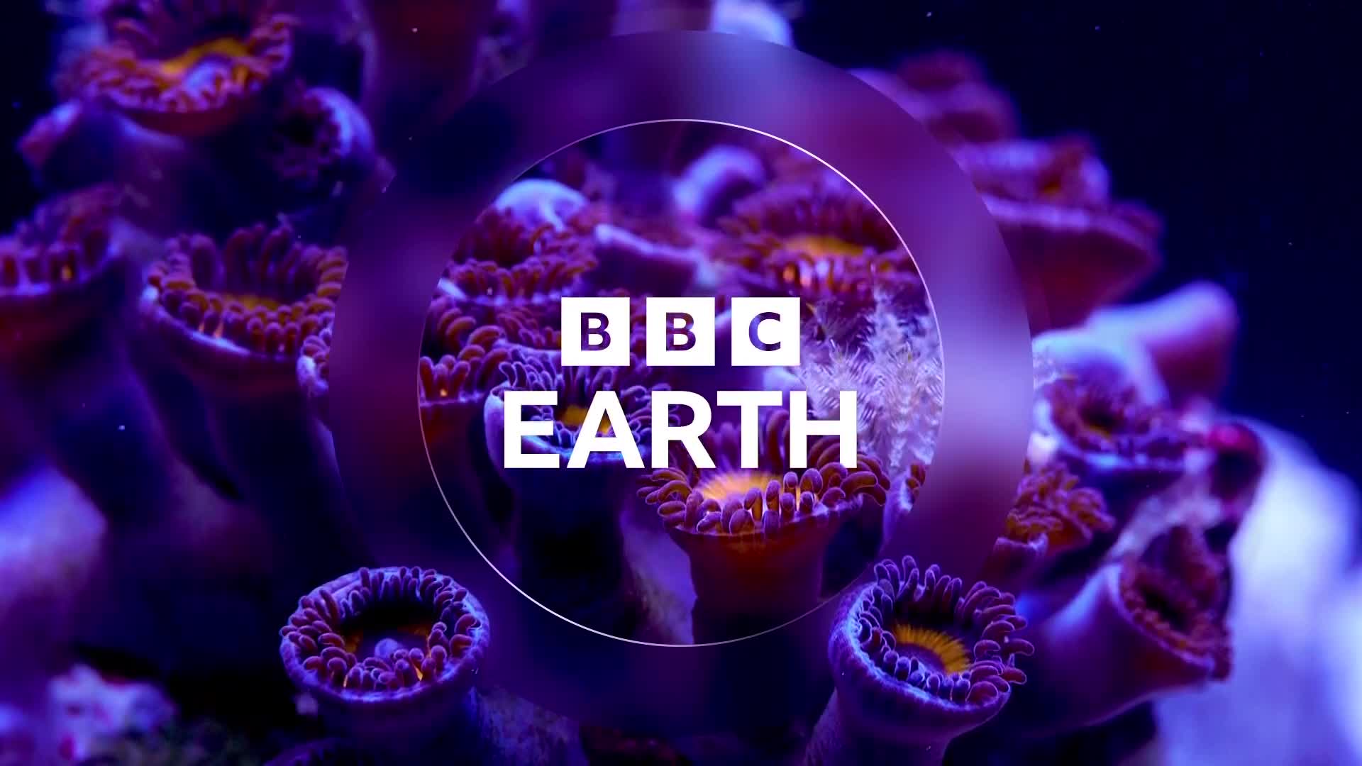 BBCEarth