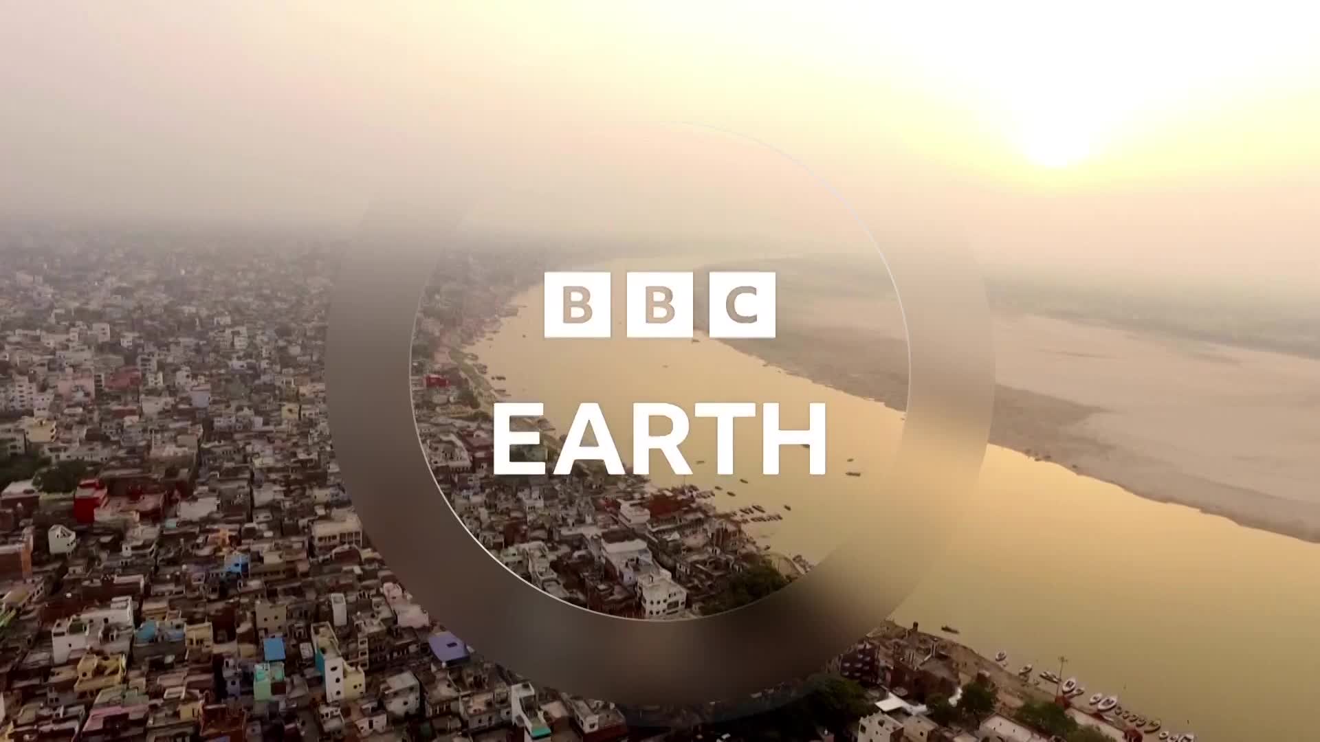 BBCEarth