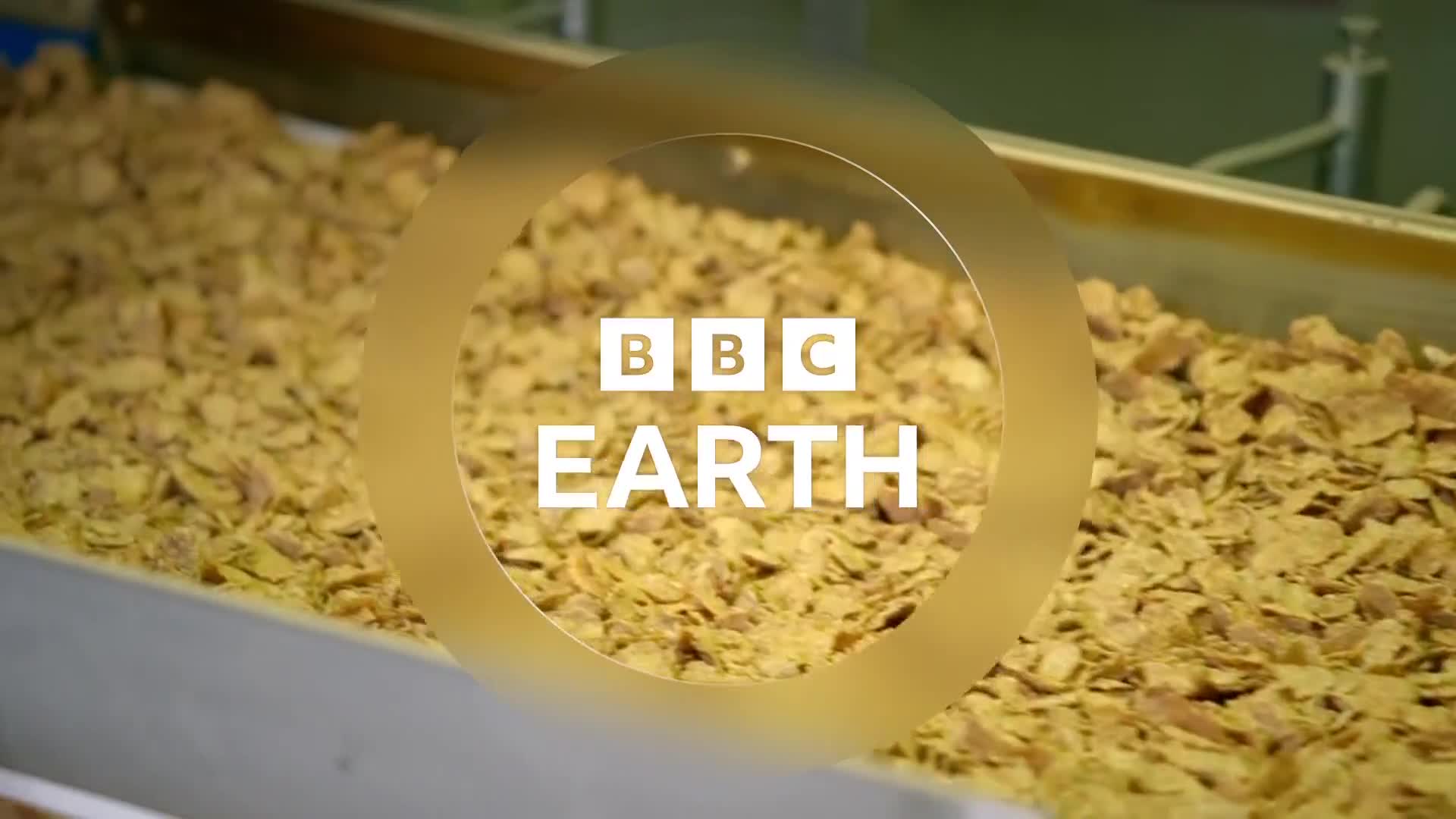 BBCEarth