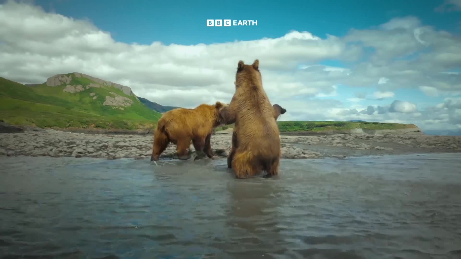 BBCEarth