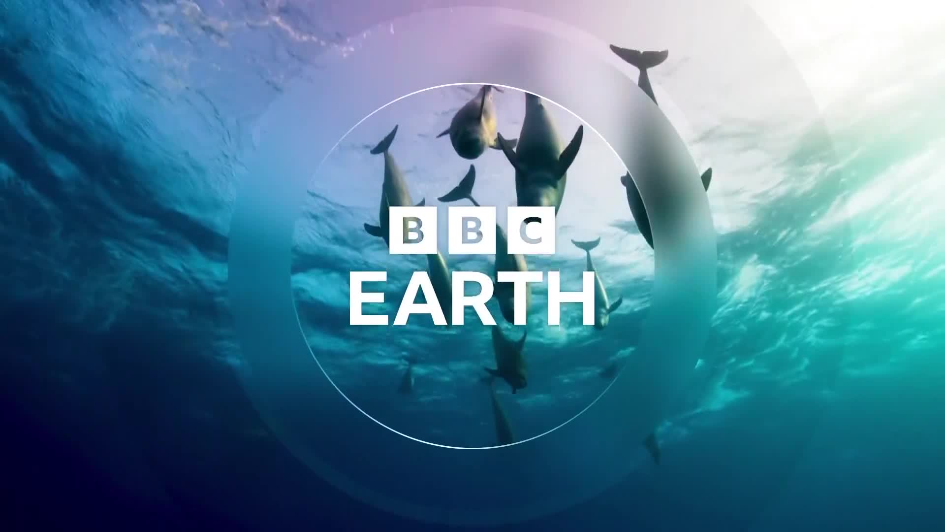 BBCEarth