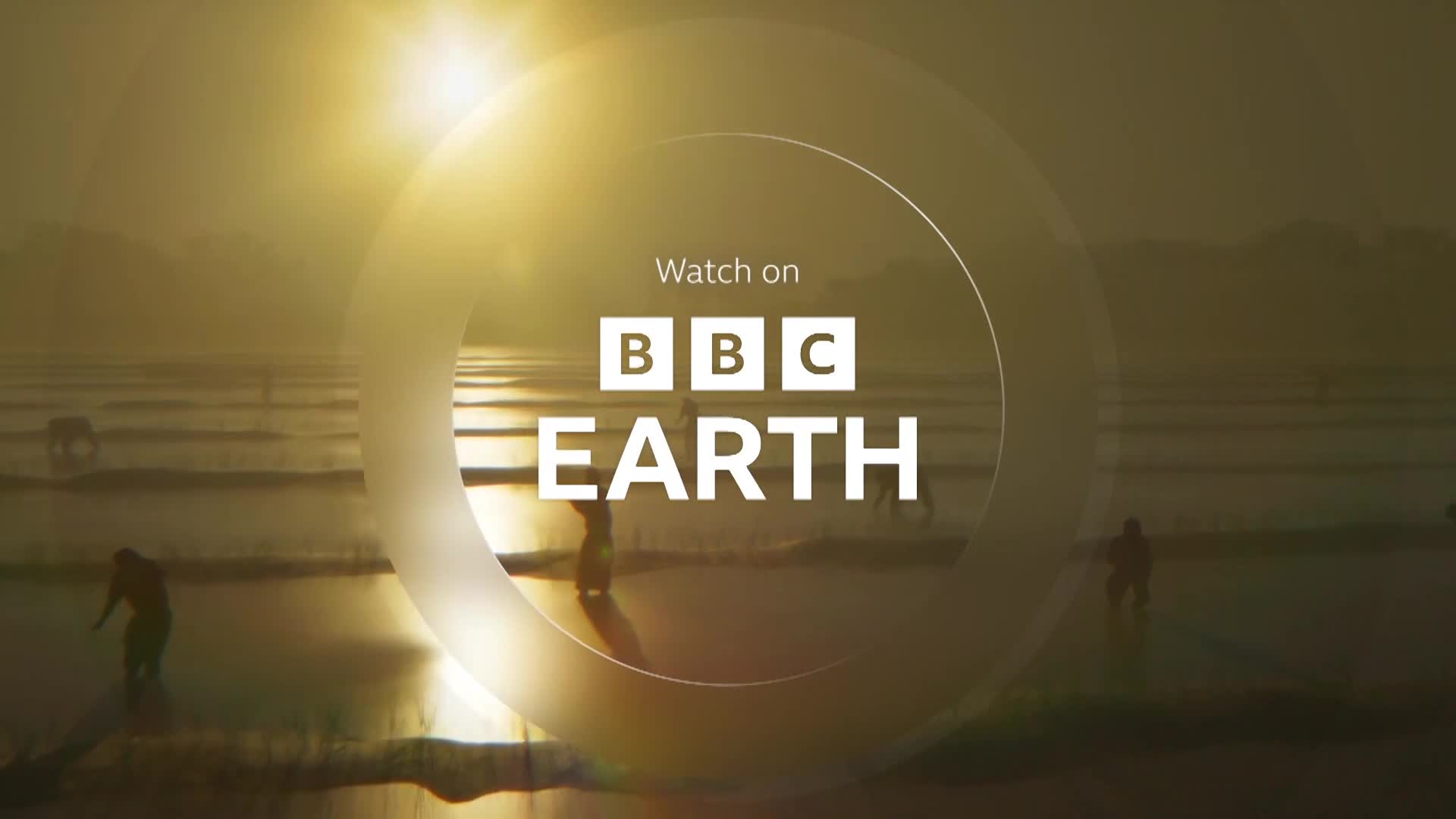 BBCEarth