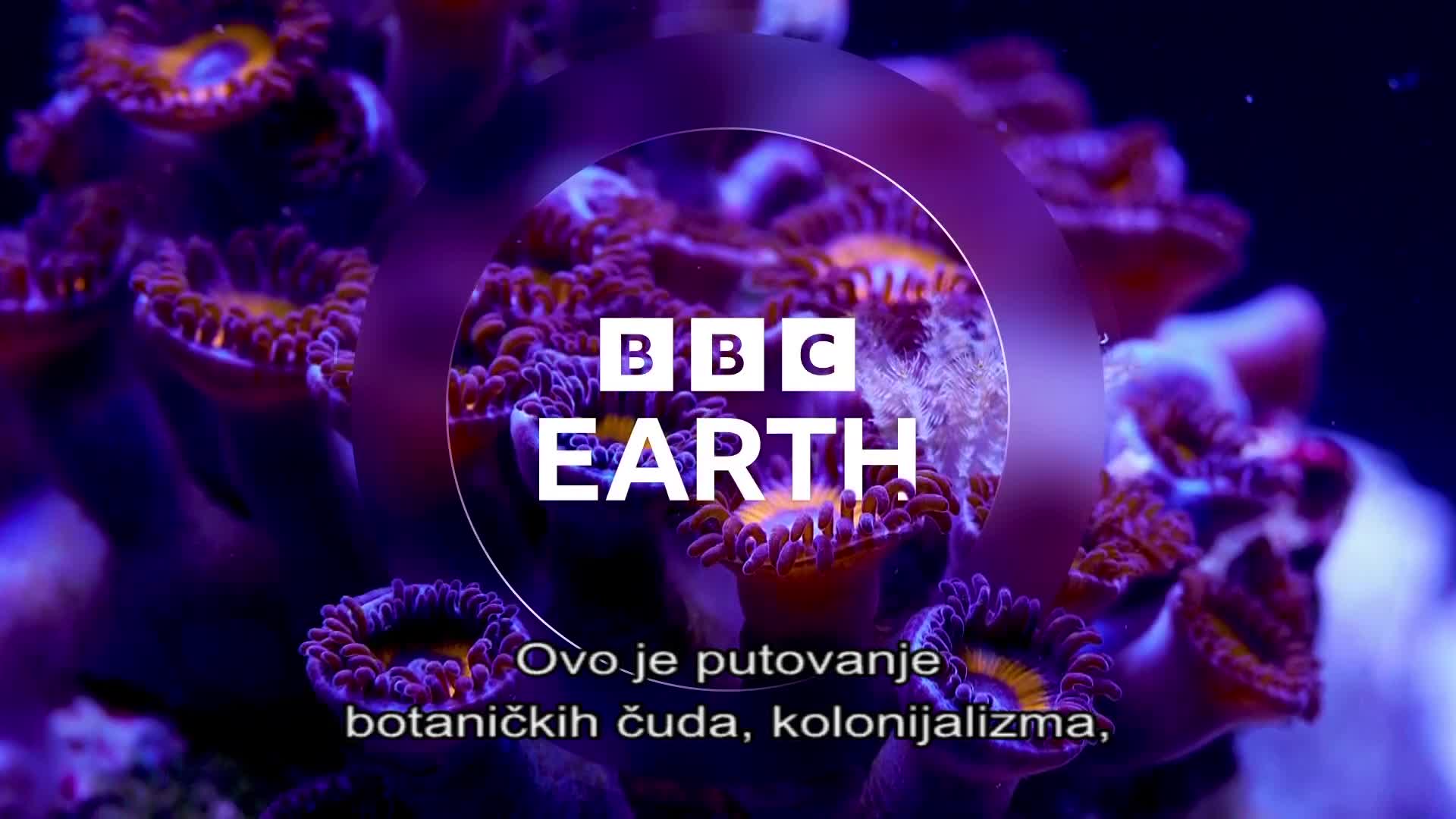 BBCEarth