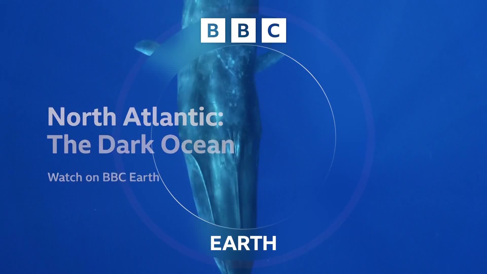 BBCEarth