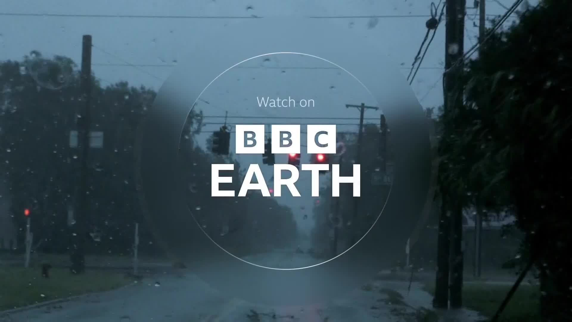 BBCEarth