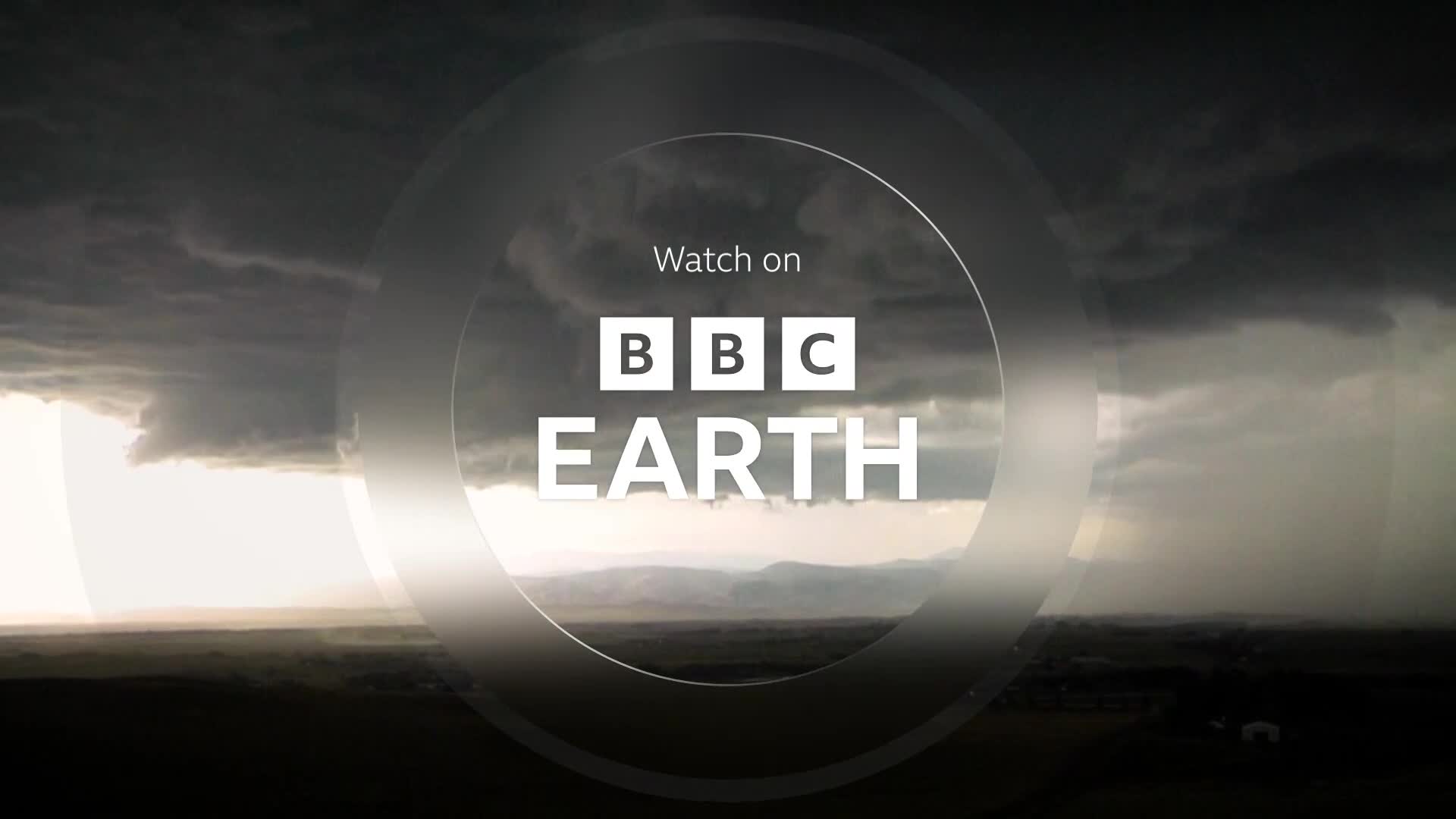 BBCEarth