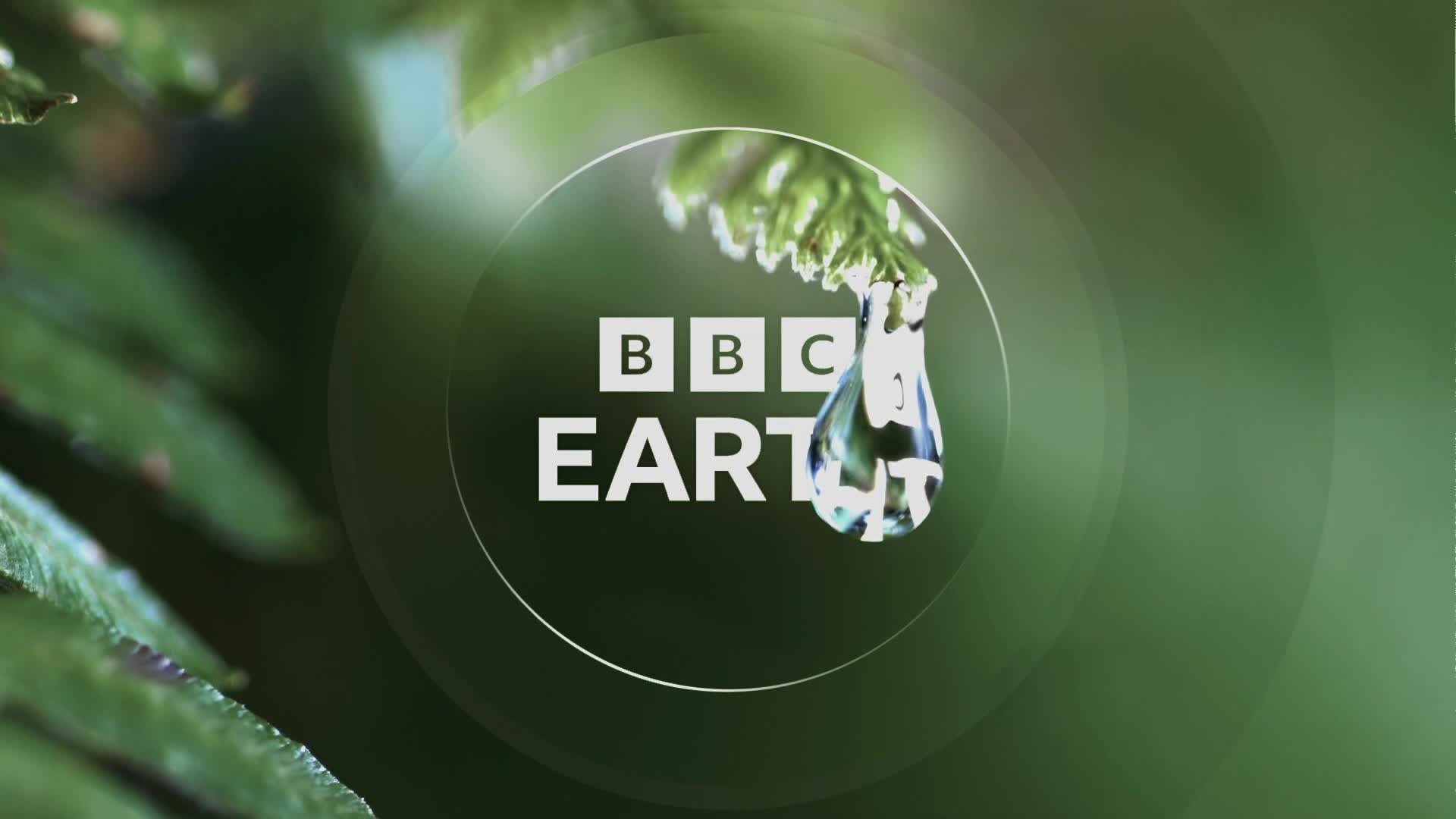 BBCEarth