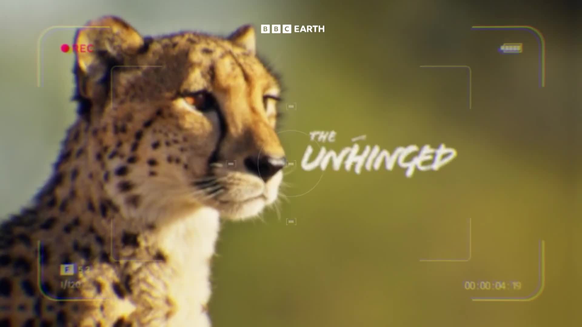BBCEarth