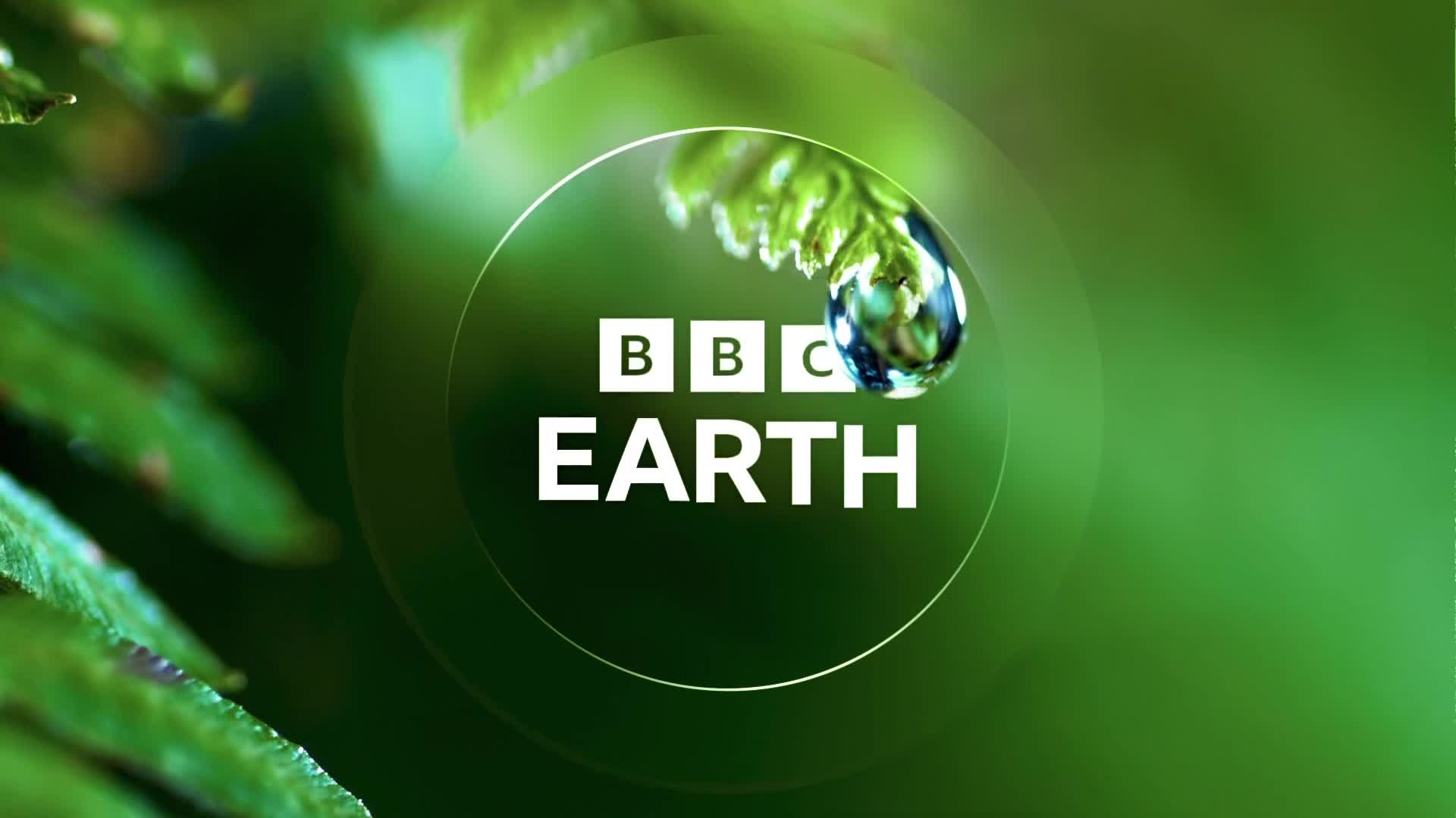 BBCEarth
