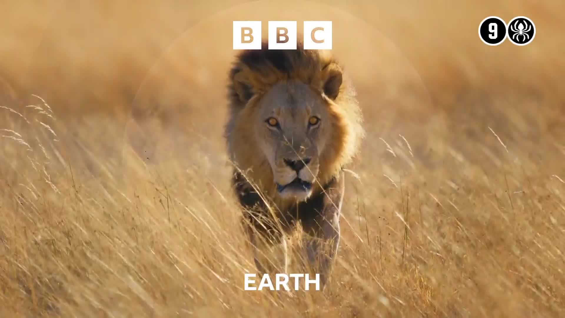 BBCEarth