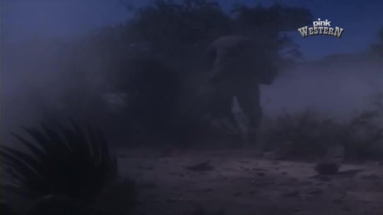 PinkWestern