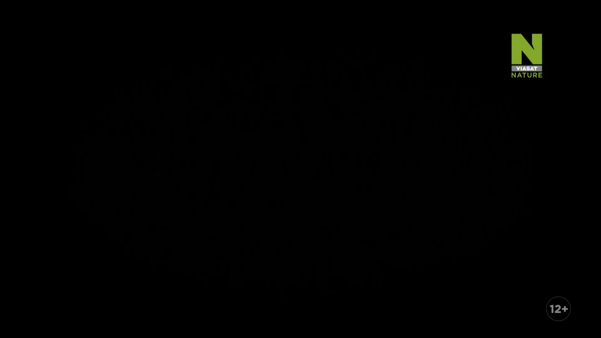 ViasatNature