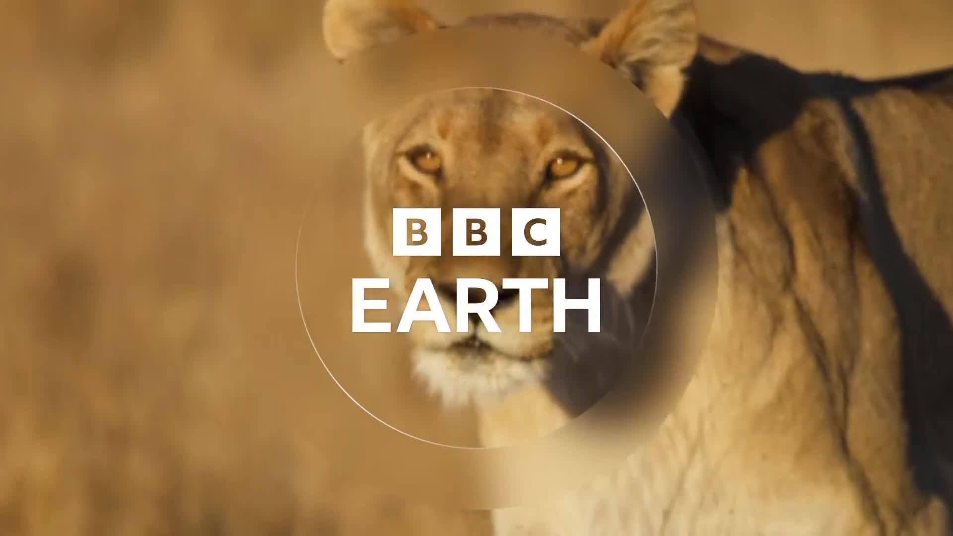 BBCEarth
