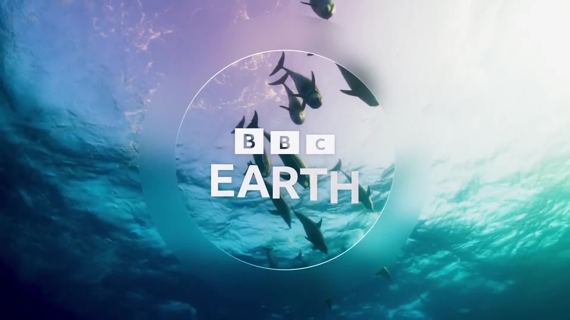BBCEarth
