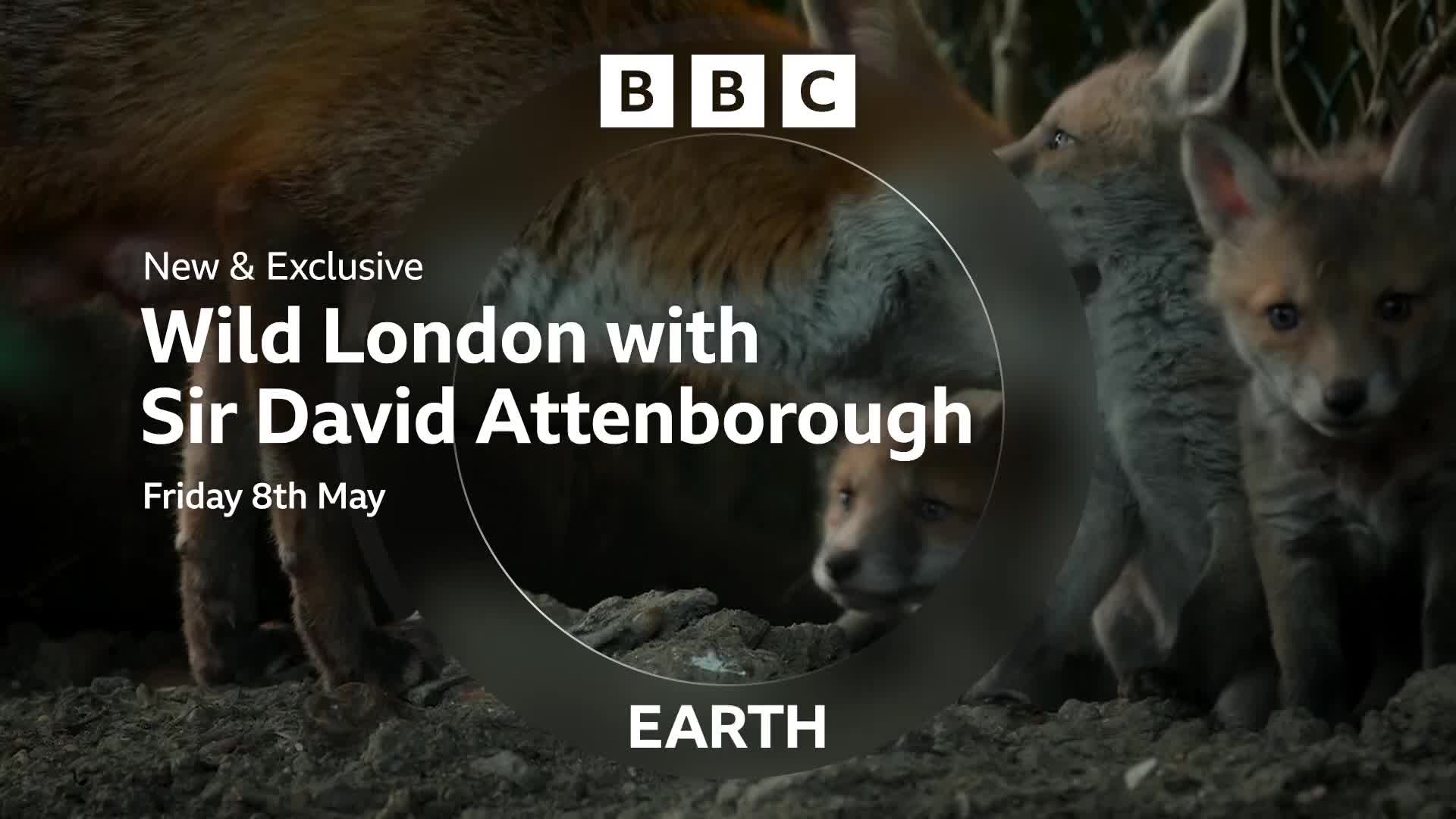 BBCEarth