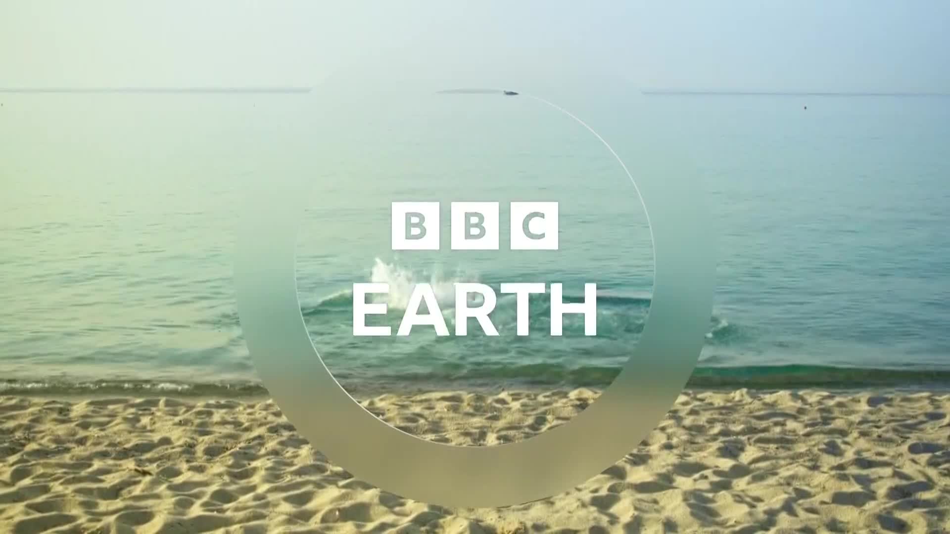 BBCEarth