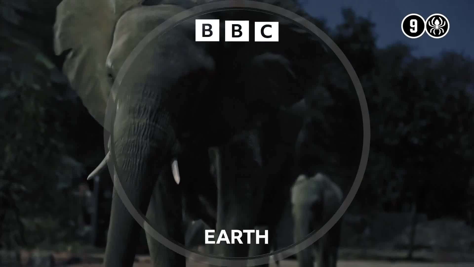 BBCEarth