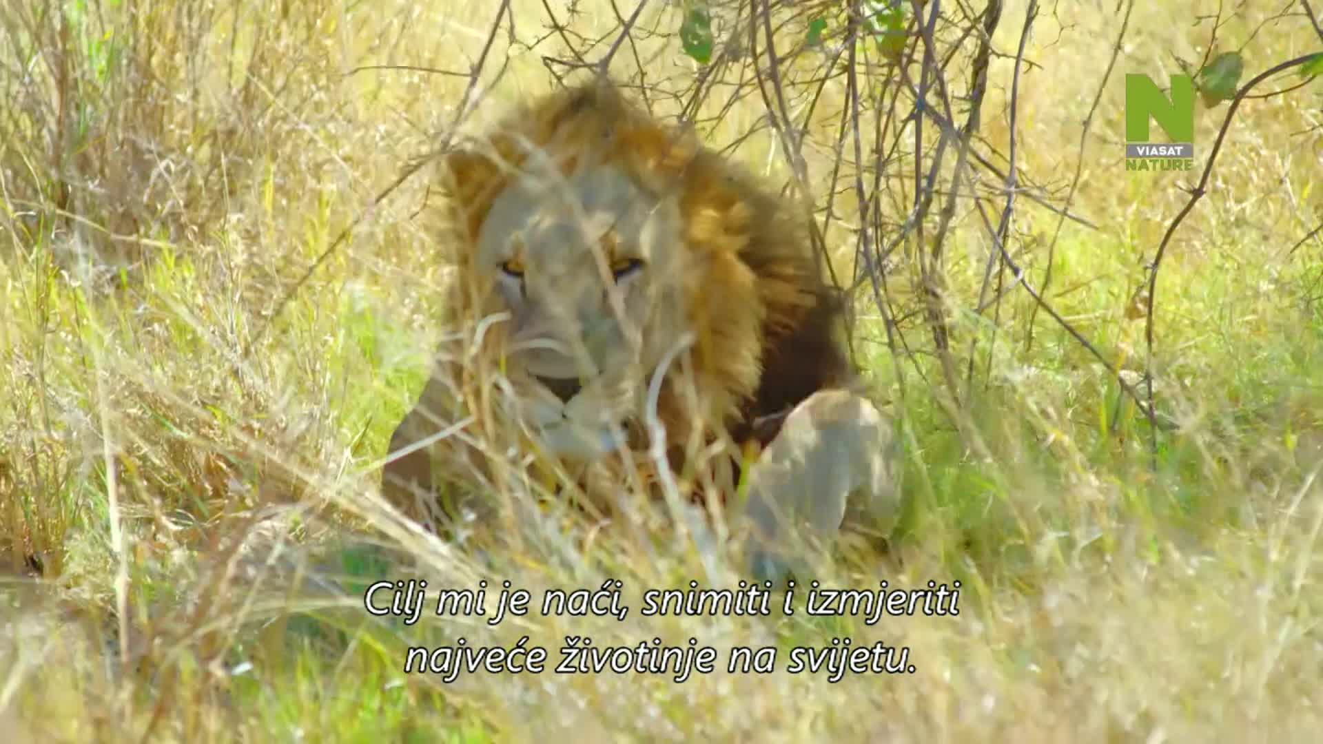 ViasatNature