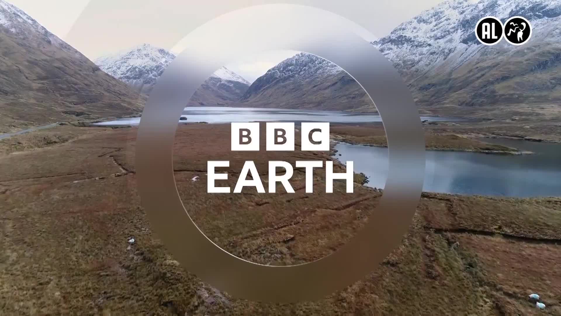 BBCEarth