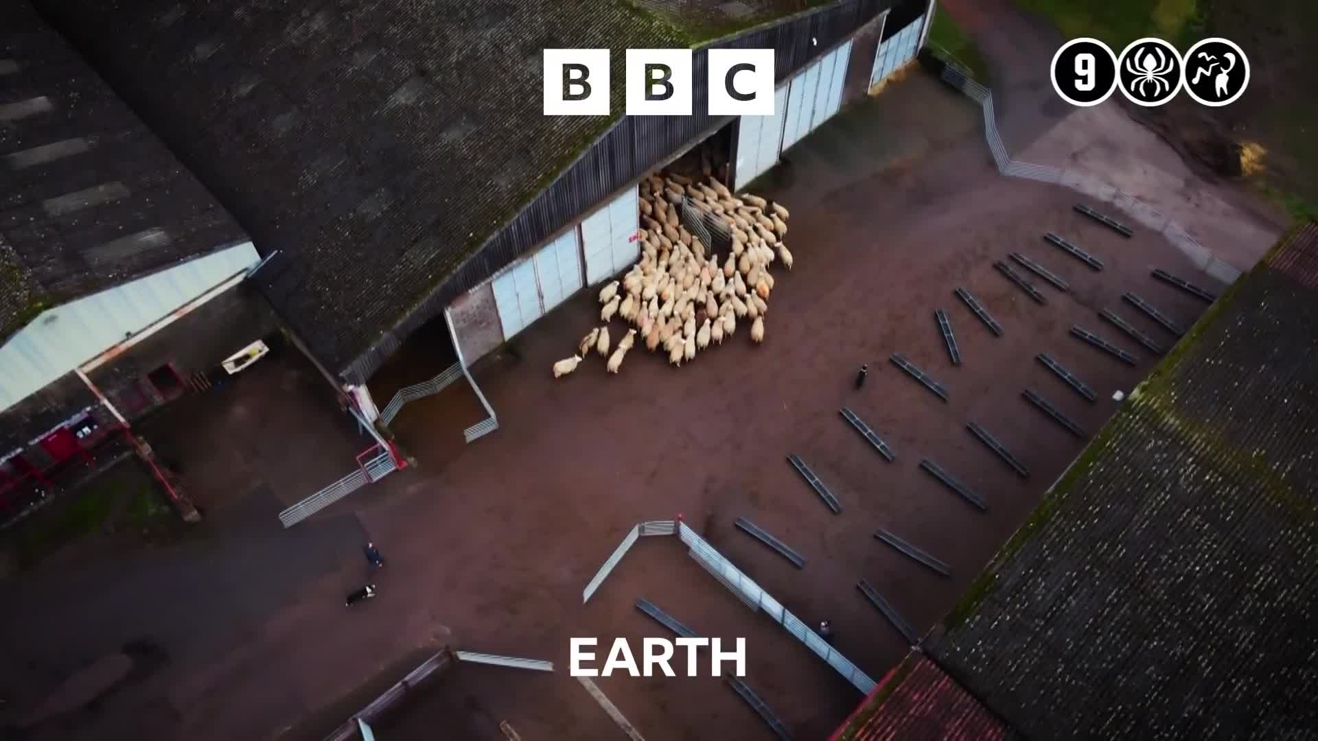 BBCEarth