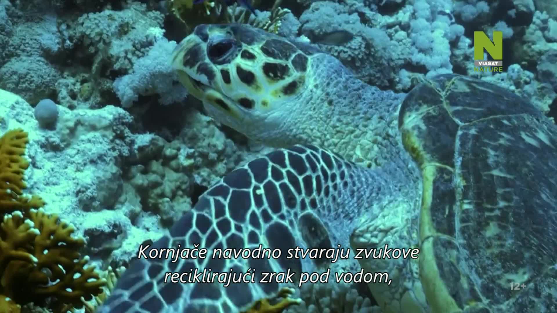 ViasatNature