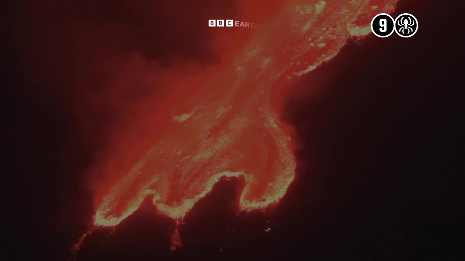BBCEarth
