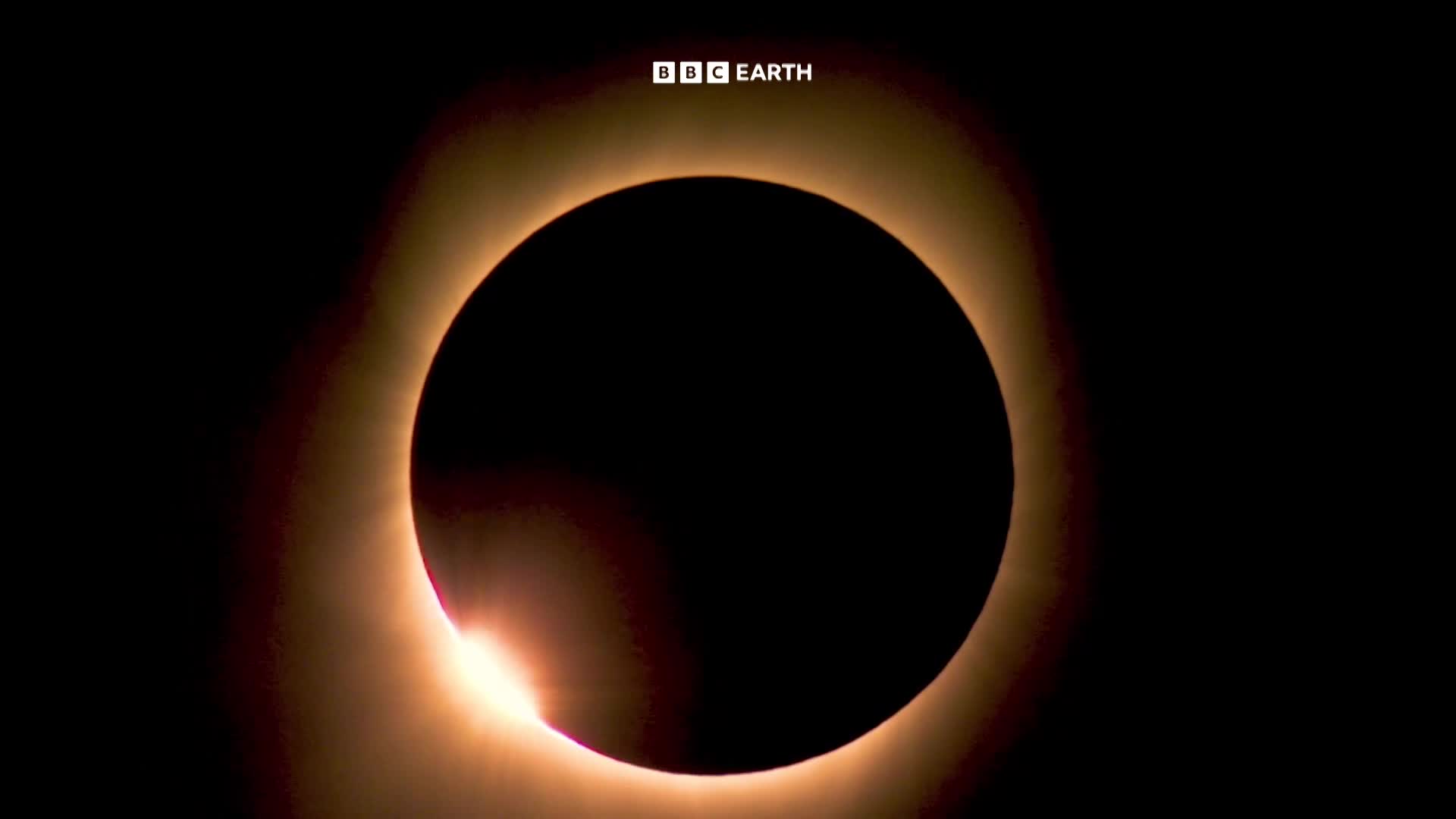 BBCEarth