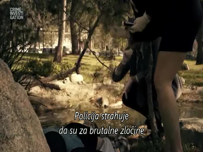 CrimeInvestigation