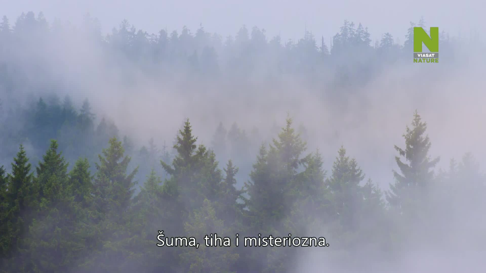 ViasatNature