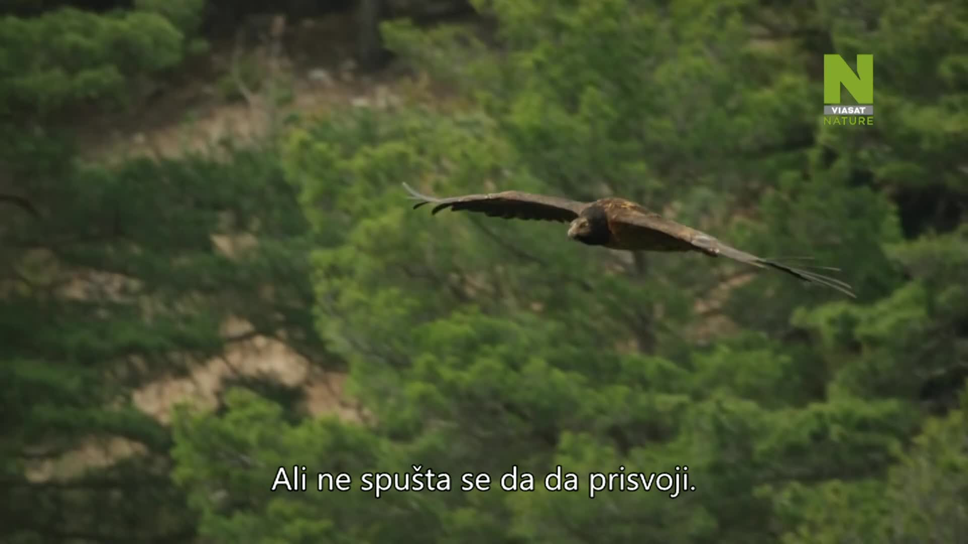 ViasatNature