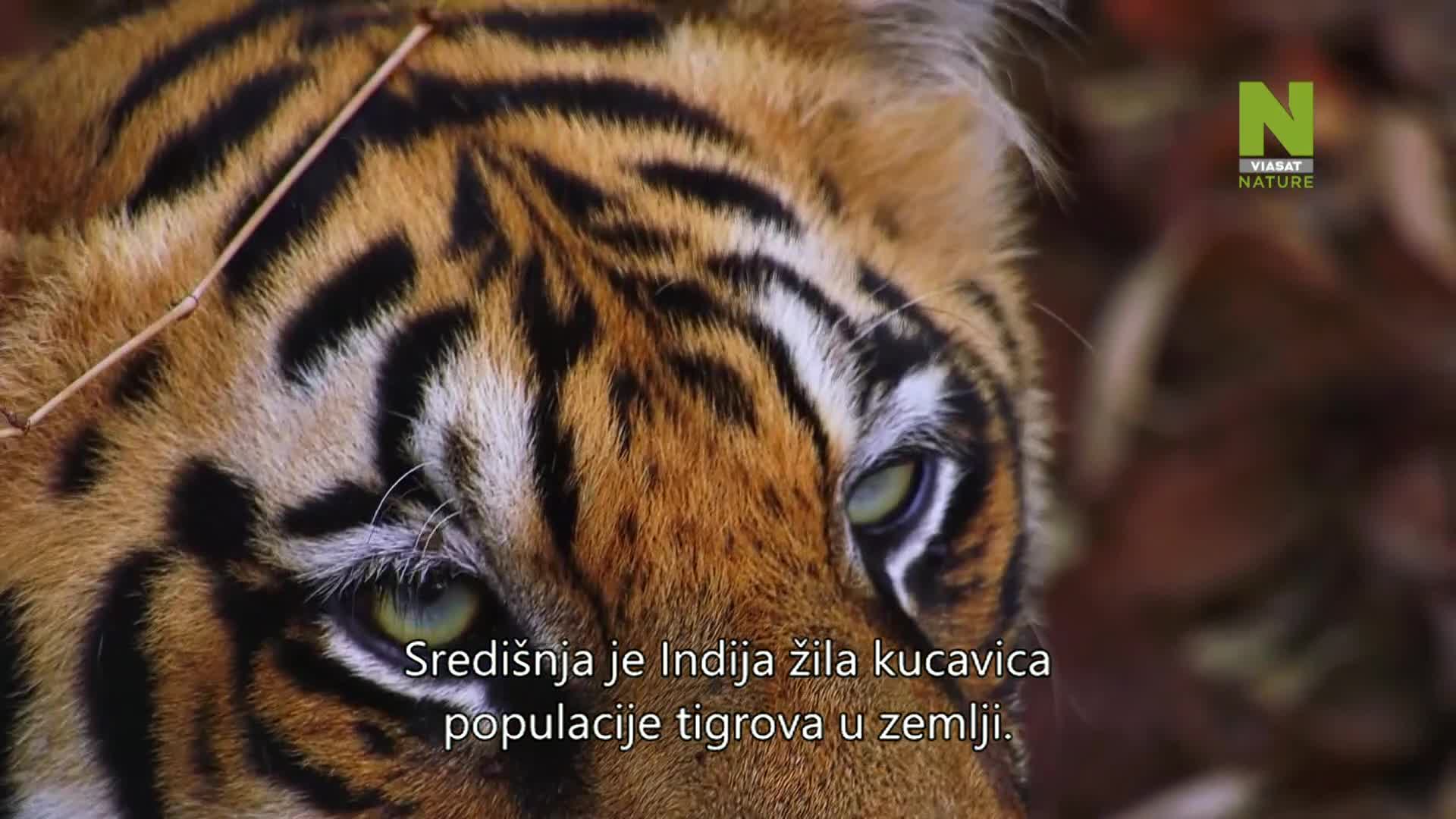 ViasatNature